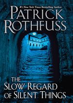 The Slow Regard of Silent Things (US).jpg